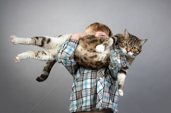 Fiú macska ötéves magasra tart nagy gyermek Stock fotó © nailiaschwarz