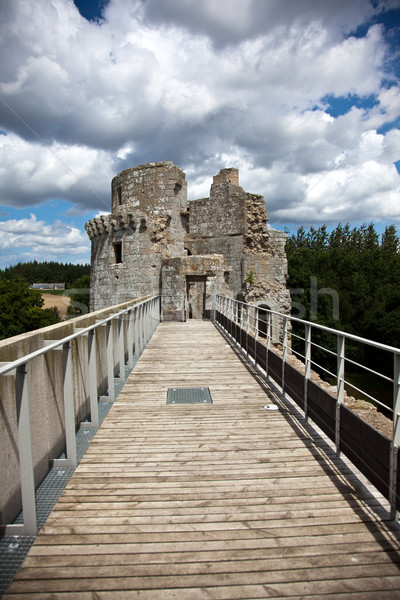 Castle Tower Stock photo © nailiaschwarz