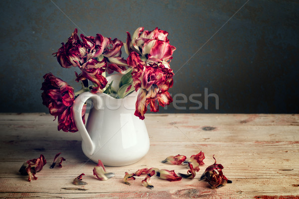 Still Life with Tulips Stock photo © nailiaschwarz