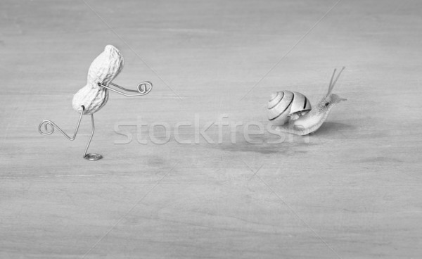 Chasing Snails Stock photo © nailiaschwarz
