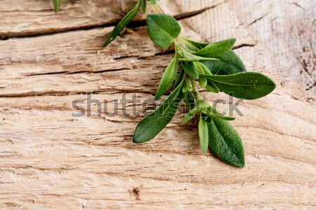 Stock photo: Bundle of fresh Kitchen Herbs
