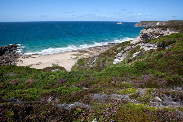 Cliffs and Coast at Cap Frehel Stock photo © nailiaschwarz
