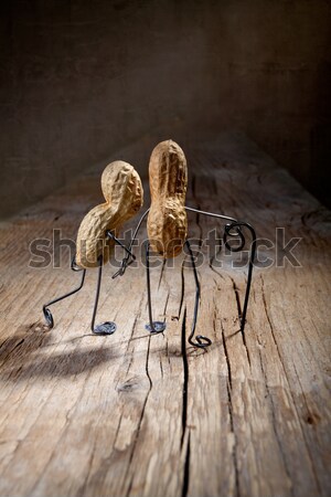 Samen miniatuur oude paar lopen hond liefde Stockfoto © nailiaschwarz