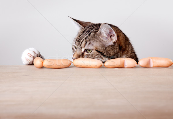 Stock foto: Katze · Würstchen · neugierig · Tabelle · Essen · Küche