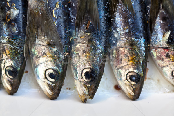 Fresh Sardines Stock photo © nailiaschwarz