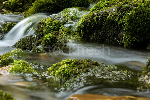 Mountain Creek Stock photo © nailiaschwarz