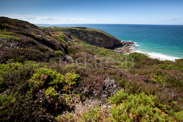 Cliffs and Coast at Cap Frehel Stock photo © nailiaschwarz