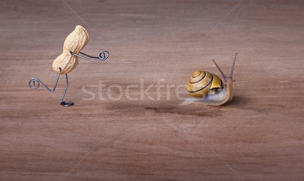 Chasing Snails Stock photo © nailiaschwarz