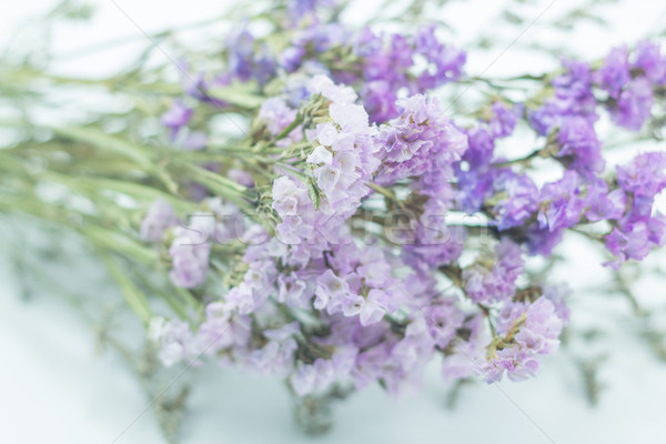 Beautiful statice flower bouquet on white background Stock photo © nalinratphi