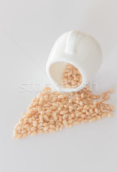 Organic pet wheat grass seeds Stock photo © nalinratphi