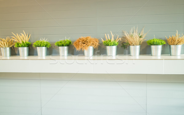 Simply plant bucket decorated on counter Stock photo © nalinratphi