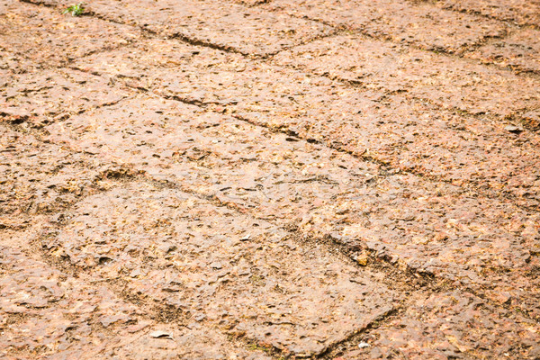 Dry laterite floor texture background Stock photo © nalinratphi