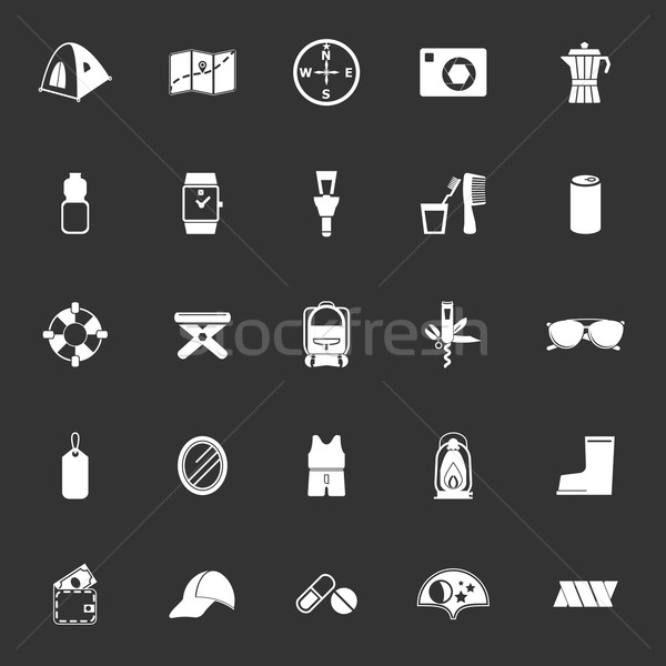 Camping necessary icons on gray background Stock photo © nalinratphi