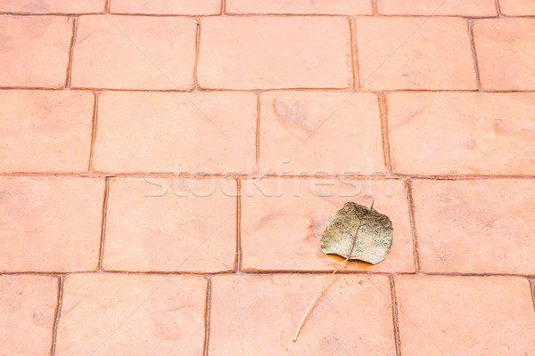 Bodhi or pho leaf dry on brick floor Stock photo © nalinratphi