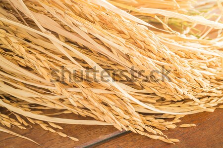 Paddy jasmine rice on wooden table Stock photo © nalinratphi