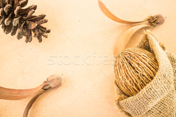 Mix of dried plant ornament on wooden background Stock photo © nalinratphi