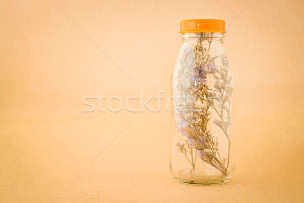 Belo violeta secas flor garrafa estoque Foto stock © nalinratphi