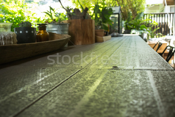 Stock fotó: Kicsi · zöld · növény · díszített · fém · asztal