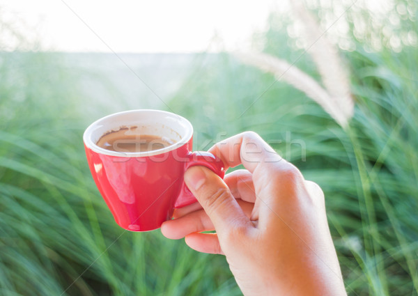 Woman holds a red coffee cup (vintage style color) Stock photo © nalinratphi