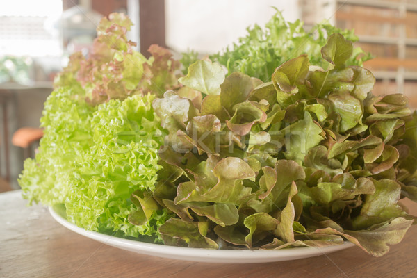 Fresh organic mix salad vegetable  Stock photo © nalinratphi