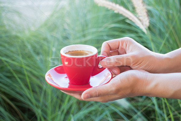 Woman holds a red coffee cup (vintage style color) Stock photo © nalinratphi