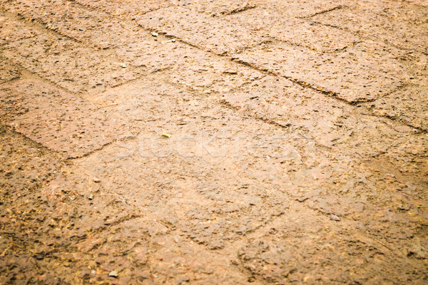 Dry laterite floor texture background Stock photo © nalinratphi