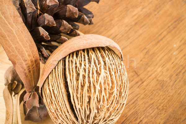 Mix of dried plant ornament on wooden background Stock photo © nalinratphi