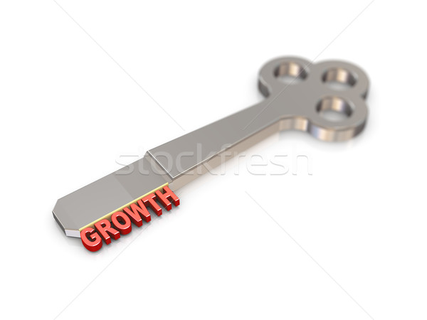 3d growth word key  Stock photo © nasirkhan