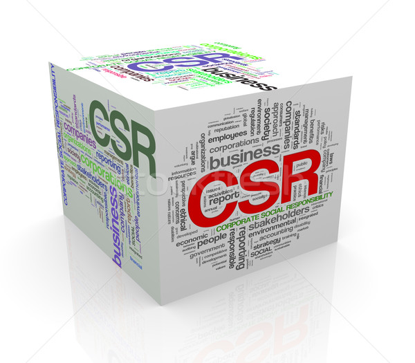 3d cube word tags wordcloud of csr Stock photo © nasirkhan