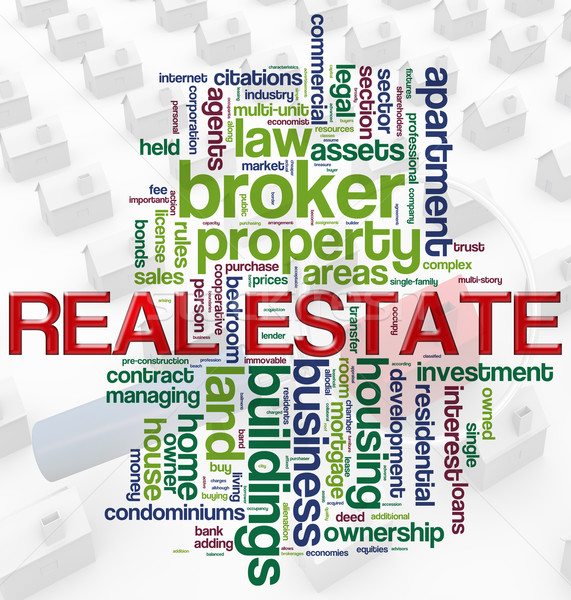 Real Estate wordcloud Stock photo © nasirkhan