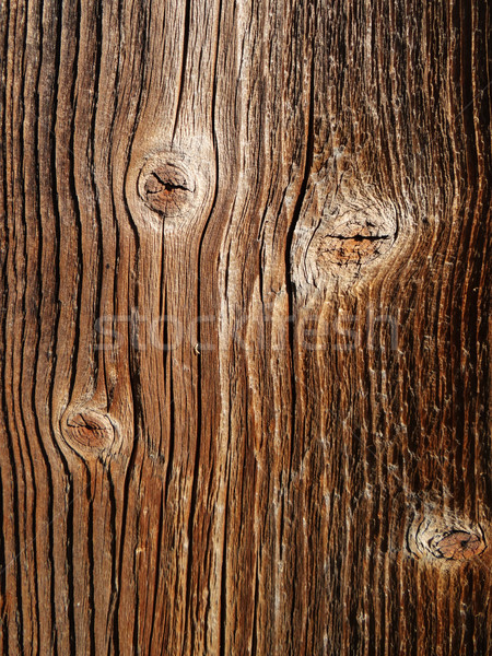Textura grão de madeira foto marrom madeira Foto stock © Natali_Brill