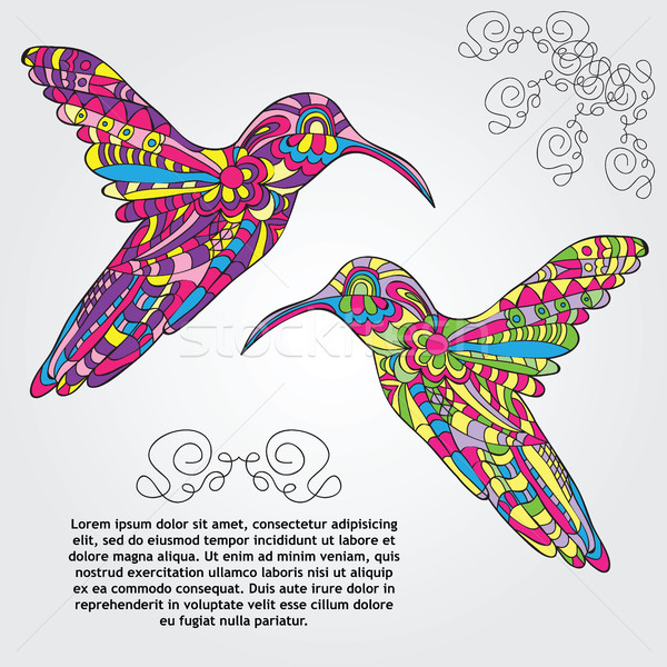 Vector Hummingbird  Stock photo © Natali_Brill