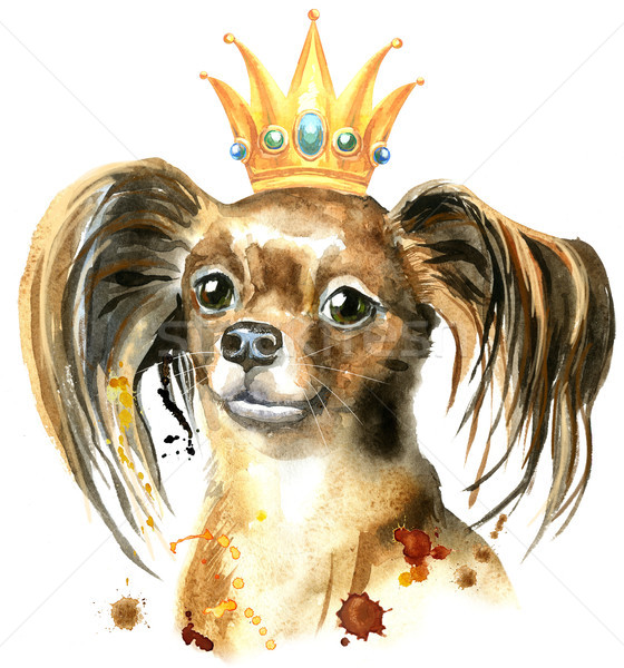 Watercolor portrait of long-haired toy terrier with a crown on his head Stock photo © Natalia_1947