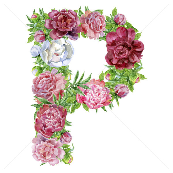 Letter P of watercolor flowers Stock photo © Natalia_1947