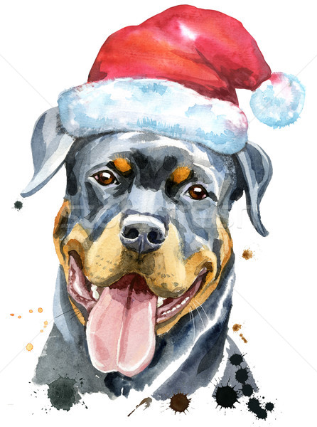 Couleur pour aquarelle portrait rottweiler chapeau cute [[stock_photo]] © Natalia_1947