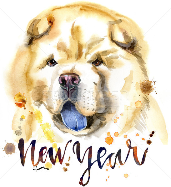 Watercolor portrait of chow-chow dog Stock photo © Natalia_1947