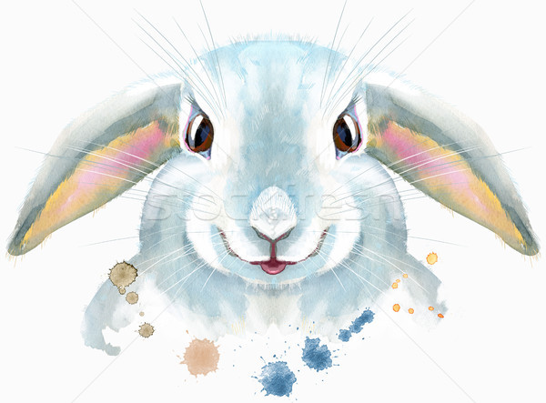 Acuarela ilustrare alb iepure drăguţ Imagine de stoc © Natalia_1947