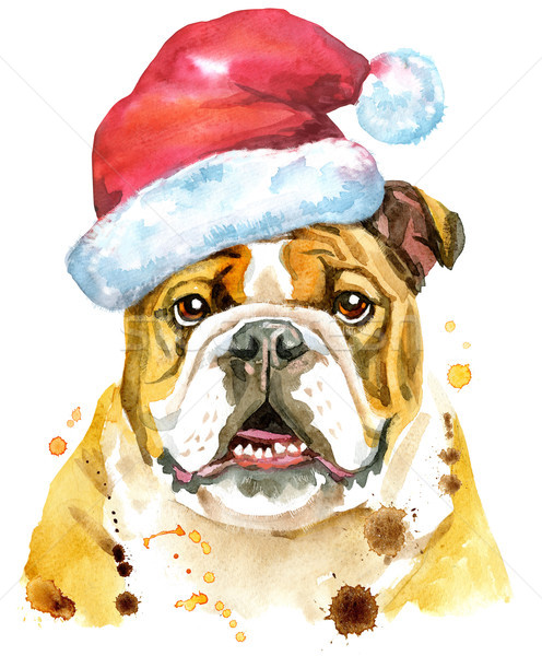 Watercolor portrait of bulldog with Santa hat Stock photo © Natalia_1947