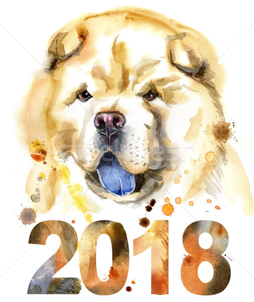 Watercolor portrait of chow-chow dog Stock photo © Natalia_1947