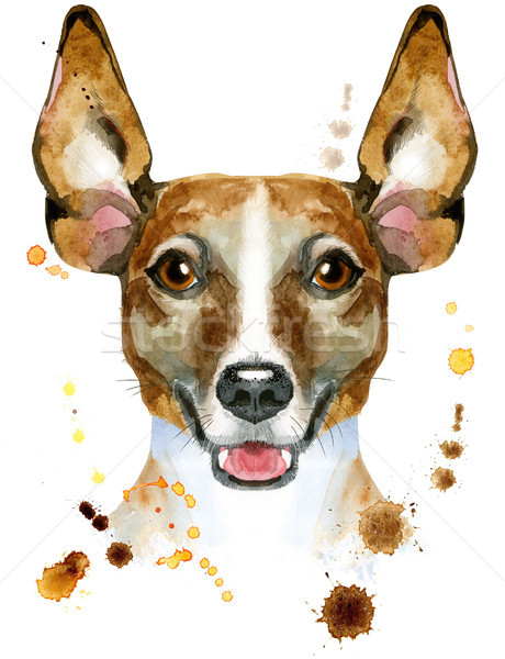 Watercolor portrait of jack russell terrier Stock photo © Natalia_1947