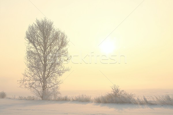 winter morning paragraph winter morning paragraph