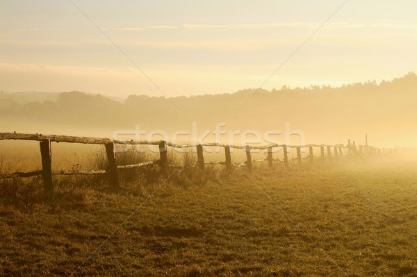 Landschap mistig ochtend zonsopgang houten hek Stockfoto © nature78