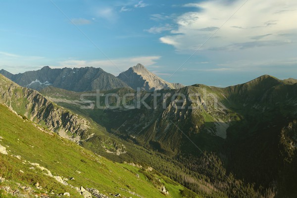 Tatra Mountains at dusk Stock photo © nature78