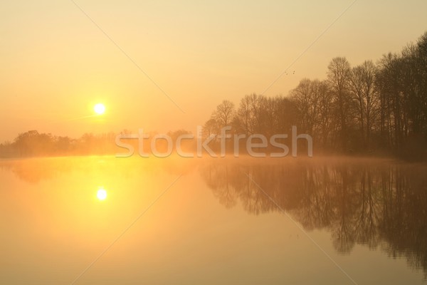 Sunrise over the lake Stock photo © nature78