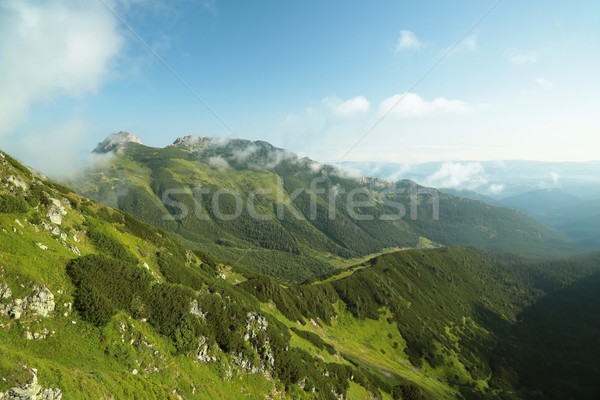 Giewont in Polish Tatra Mountains Stock photo © nature78