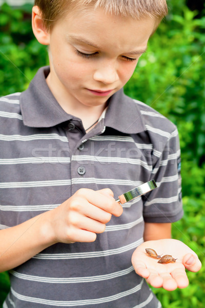 Kid observing snails Stock photo © naumoid