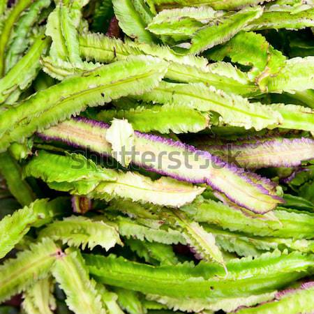 Foto d'archivio: Bean · vegetali · Sri · Lanka · esotiche · goa · asparagi