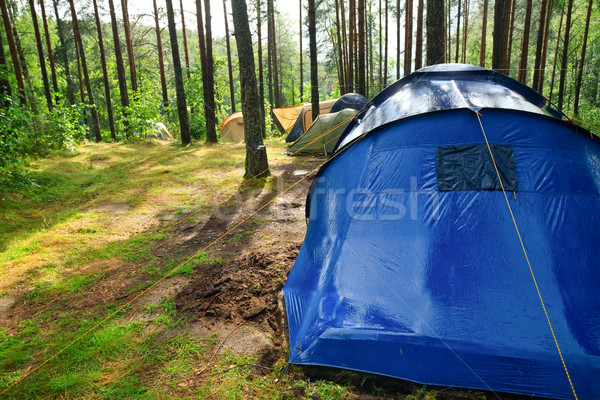 Campsite after rain Stock photo © naumoid