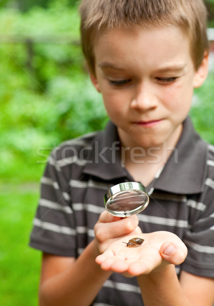 Kid observing snail Stock photo © naumoid