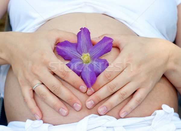 Pregnancy Stock photo © naumoid
